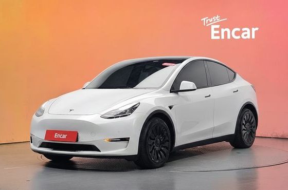 Tesla Model Y Long Range AWD — пробег 64 738 км — фото 1 из 5