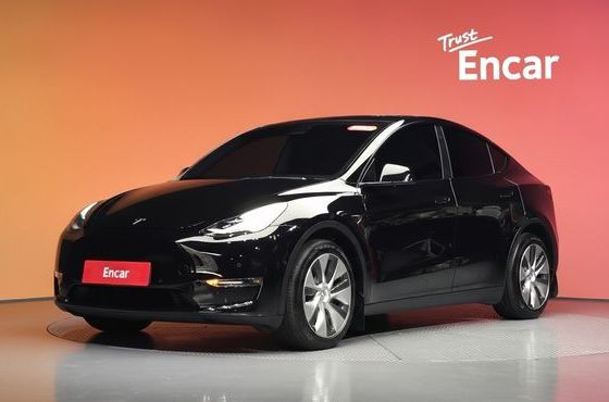 Tesla Model Y Long Range AWD — пробег 88 521 км — фото 1 из 5