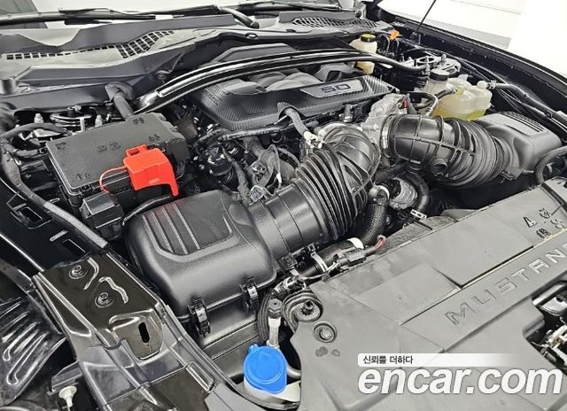 Ford Mustang из Кореи Encar