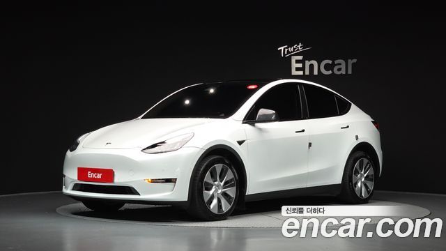 Tesla Model Y Long Range AWD — пробег 131 324 км — фото 1 из 5