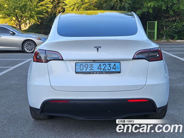 Tesla Model Y из Кореи Encar