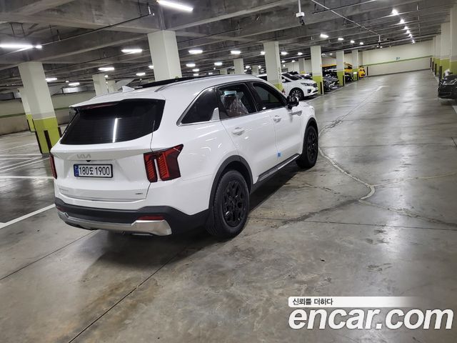 Kia Sorento HEV 1.6 2WD Signature — пробег 12 км — фото 5 из 5