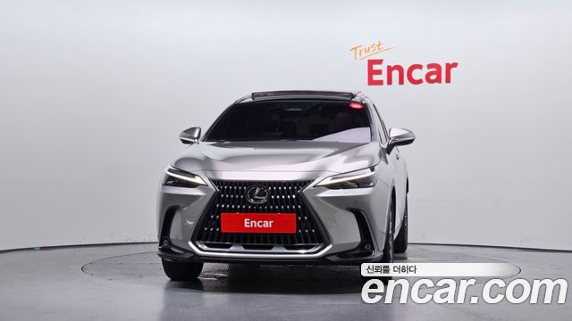 Lexus NX Luxury — пробег 17 685 км — фото 3 из 5