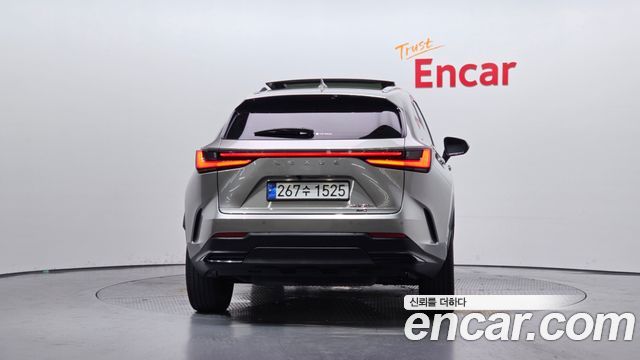 Lexus NX Luxury — пробег 17 685 км — фото 4 из 5