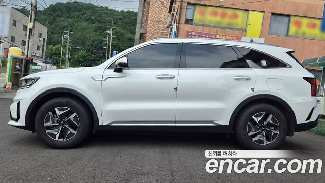 Kia Sorento HEV 1.6 2WD Prestige — пробег 75 269 км — фото 2 из 5