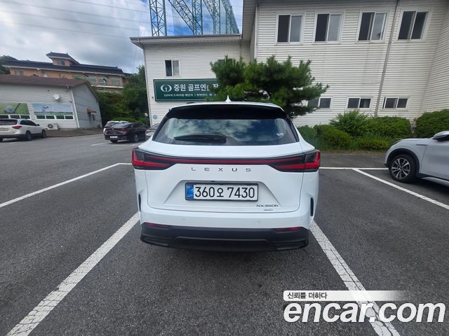 Lexus NX Luxury — пробег 5 000 км — фото 3 из 5