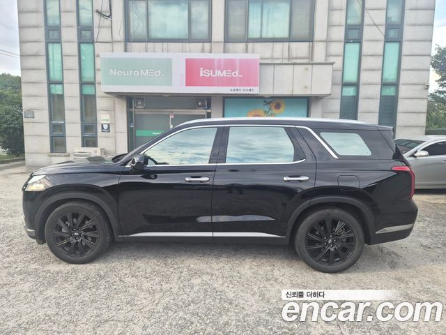Hyundai Palisade Diesel 2.2 4WD Le Blanc — пробег 131 000 км — фото 4 из 5