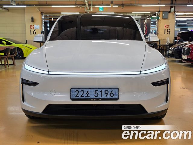 Tesla Model Y Long Range AWD — пробег 8 000 км — фото 1 из 5