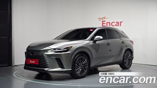 Lexus RX Luxury — пробег 13 688 км — фото 1 из 5