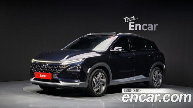 Hyundai Nexo Premium — пробег 121 170 км — фото 1 из 5