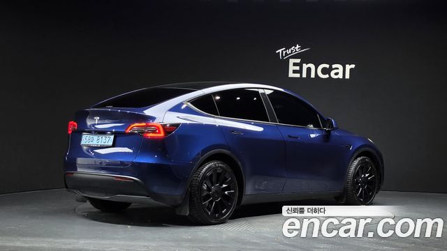 Tesla Model Y Long Range AWD — пробег 43 096 км — фото 2 из 5