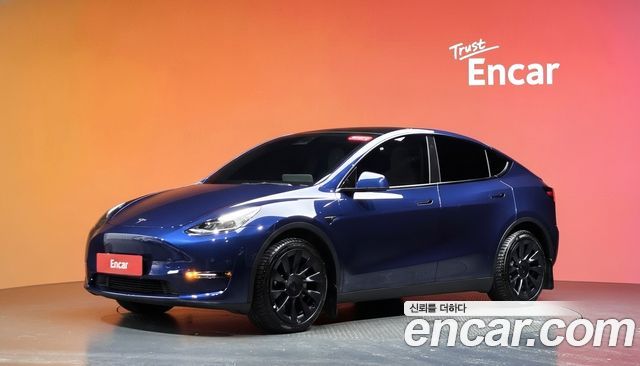 Tesla Model Y Long Range AWD — пробег 43 096 км — фото 1 из 5