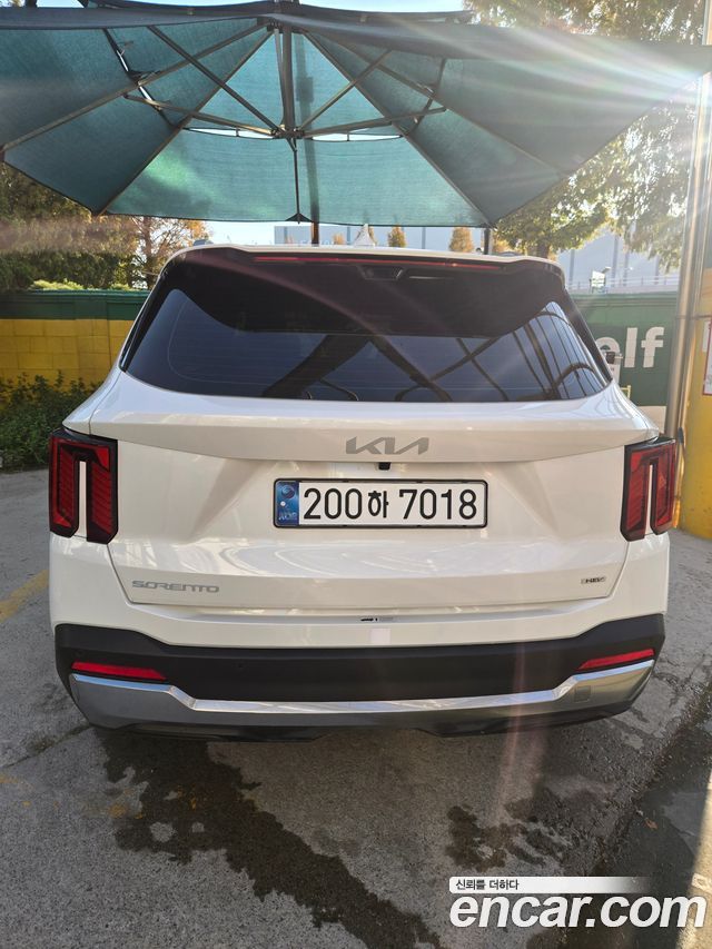 Kia Sorento HEV 1.6 2WD Noblesse — пробег 13 000 км — фото 4 из 5