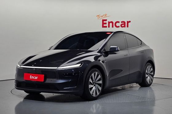 Tesla Model Y Long Range AWD — пробег 29 698 км — фото 1 из 5