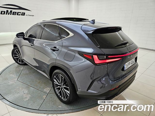 Lexus NX Luxury — пробег 38 958 км — фото 4 из 5