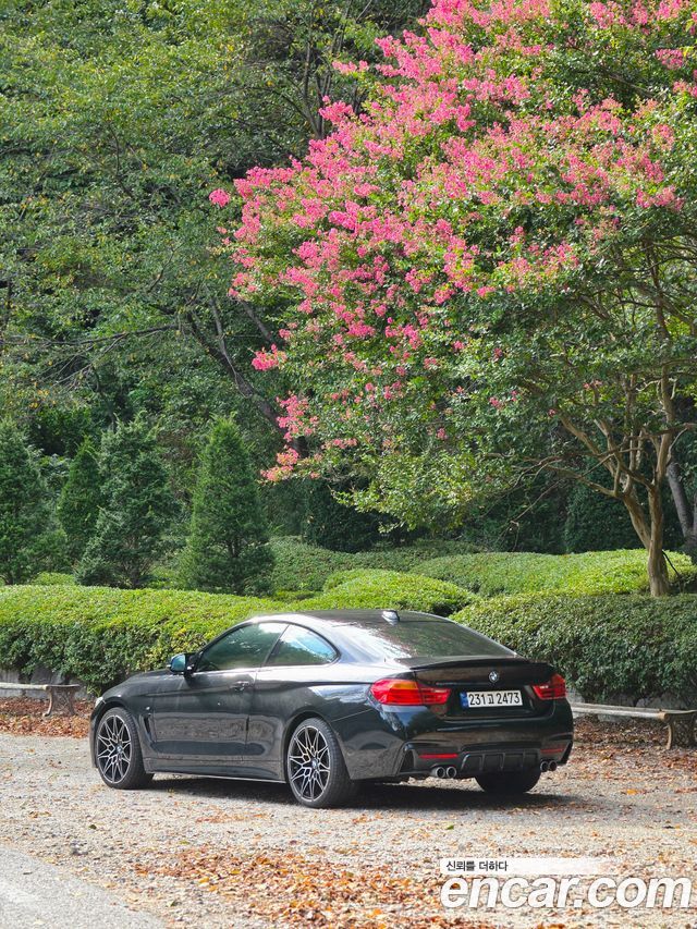 BMW 4-Series из Кореи Encar