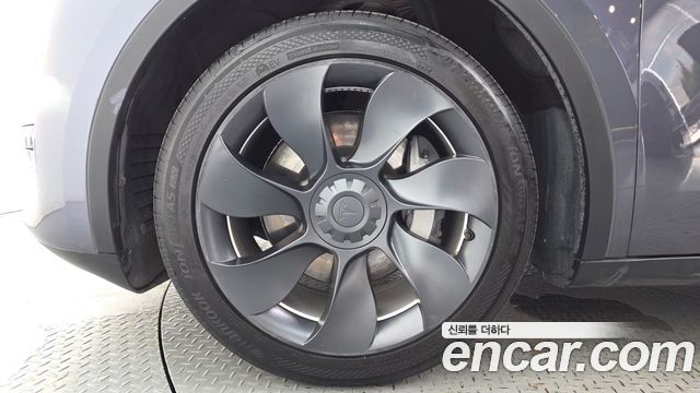 Tesla Model Y из Кореи Encar