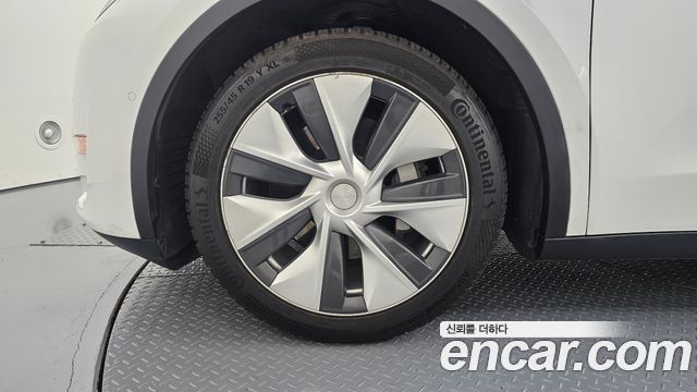Tesla Model Y из Кореи Encar