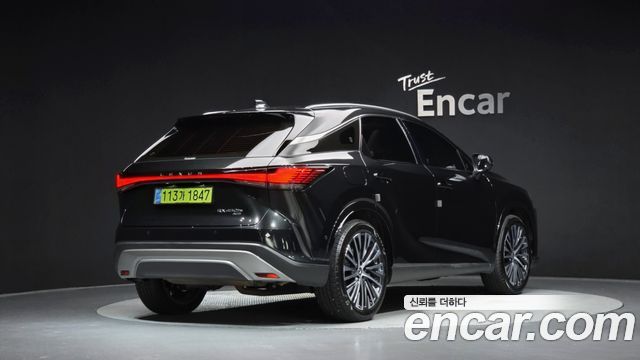 Lexus RX Luxury — пробег 21 600 км — фото 2 из 5