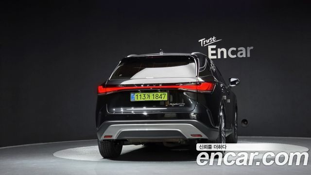 Lexus RX Luxury — пробег 21 600 км — фото 4 из 5