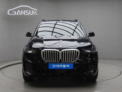 BMW X5 xDrive 40i M Sport — пробег 257 км — фото 1 из 5