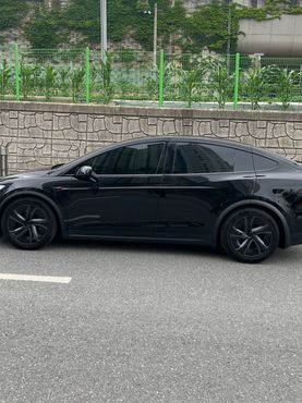 Tesla Model X AWD — пробег 13 200 км — фото 4 из 4