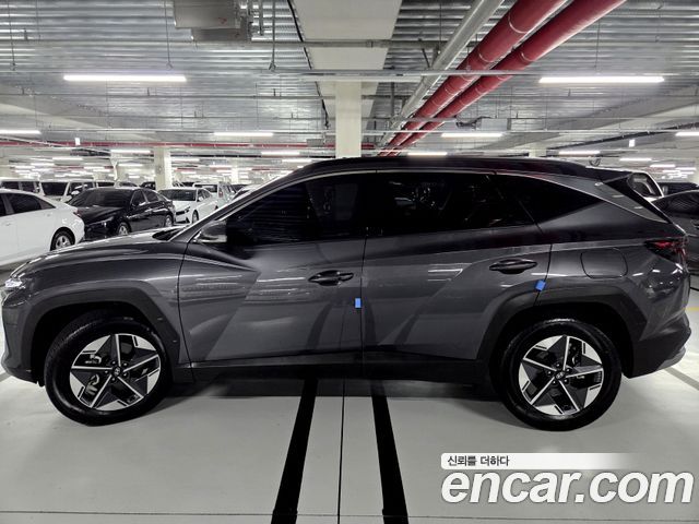 Hyundai Tucson HEV 1.6 2WD Premium — пробег 12 690 км — фото 4 из 5