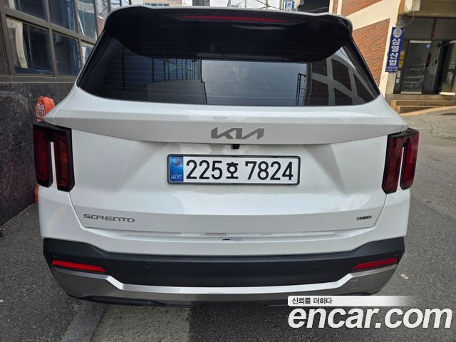 Kia Sorento HEV 1.6 2WD Noblesse — пробег 8 000 км — фото 4 из 5