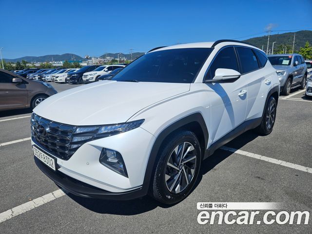 Hyundai Tucson Diesel 2.0 4WD Premium — пробег 89 781 км — фото 1 из 5