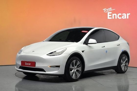 Tesla Model Y Long Range AWD — пробег 66 923 км — фото 1 из 5