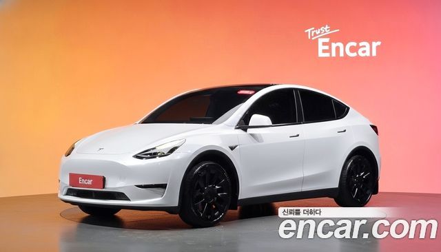 Tesla Model Y из Кореи Encar