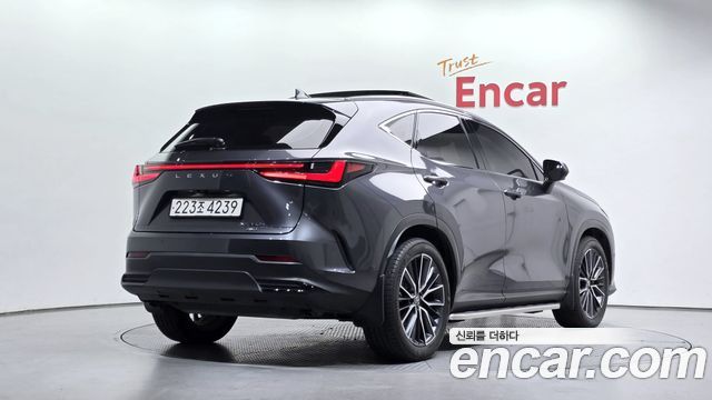 Lexus NX Luxury — пробег 55 501 км — фото 2 из 5