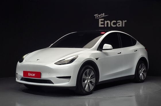 Tesla Model Y RWD — пробег 157 838 км — фото 1 из 5