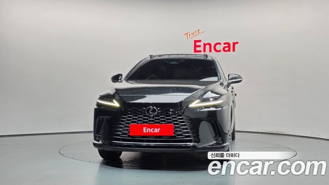 Lexus RX Luxury — пробег 24 349 км — фото 3 из 5
