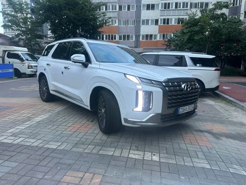 Hyundai Palisade Diesel 2.2 4WD Calligraphy — пробег 29 300 км — фото 1 из 5