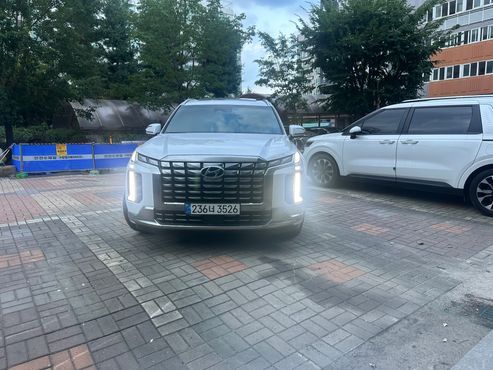 Hyundai Palisade Diesel 2.2 4WD Calligraphy — пробег 29 300 км — фото 3 из 5
