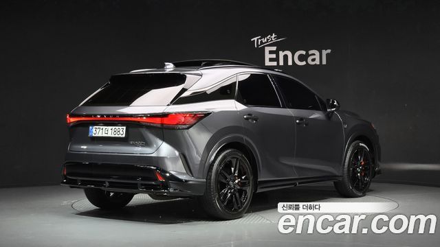 Lexus RX F-Sport — пробег 21 142 км — фото 2 из 5