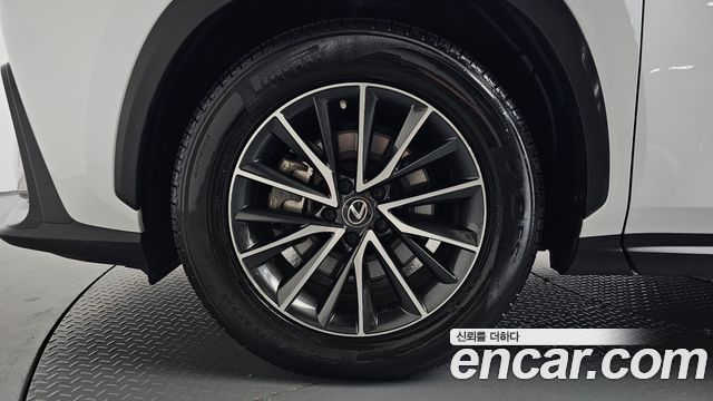 Lexus NX Premium — пробег 48 341 км — фото 5 из 5