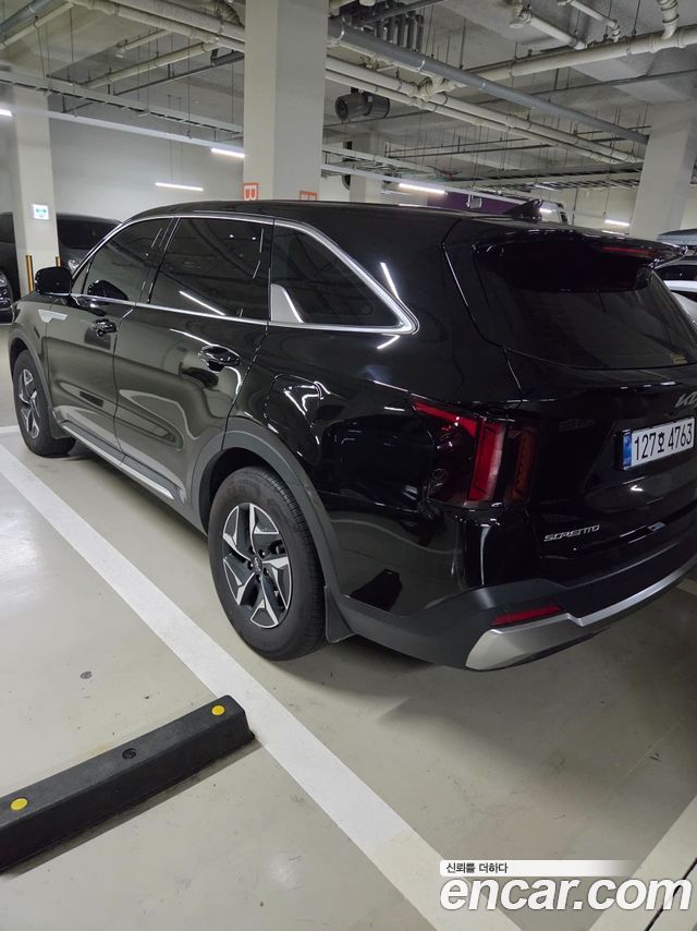 Kia Sorento HEV 1.6 2WD Prestige — пробег 12 000 км — фото 2 из 5