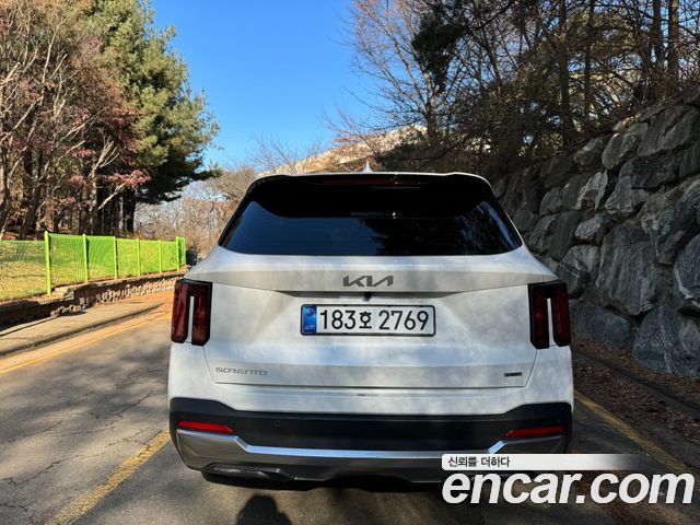 Kia Sorento HEV 1.6 2WD Noblesse — пробег 3 500 км — фото 4 из 5